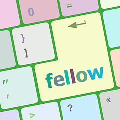 Image showing fellow word on keyboard key, notebook computer button vector illustration
