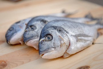 Image showing Cooking fish on the grill