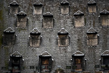 Image showing Many windows on the roof