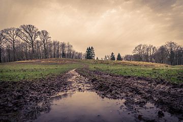 Image showing Puddle at a muddy road