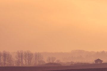 Image showing Farm house on a misty field