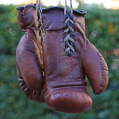 Image showing Vintage Boxing Gloves