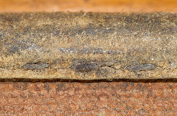 Image showing Close-up of old stiches in leather