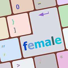 Image showing female word on keyboard key, notebook computer button vector illustration