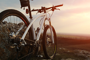 Image showing Bicycle stands on a rock