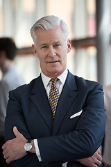 Image showing portrait of handsome senior business man at modern office