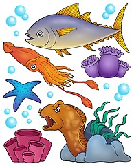 Image showing Ocean fauna topic set 2