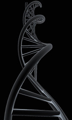 Image showing DNA structure model