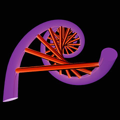 Image showing DNA structure model