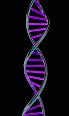 Image showing DNA structure model