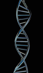 Image showing DNA structure model