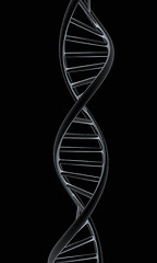 Image showing DNA structure model