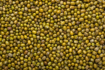 Image showing Mung bean