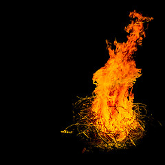 Image showing Bonfire in the night