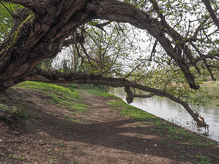 Image showing River Po in Turin