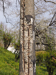 Image showing Damaged concrete pole