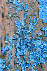 Image showing Old blue cracked paint on wooden background