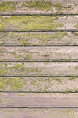 Image showing Old green cracked paint on wooden background