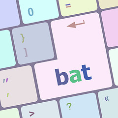 Image showing bat word on keyboard key, notebook computer vector illustration