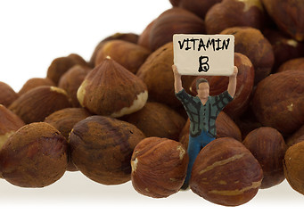 Image showing Miniature worker working with hazelnuts