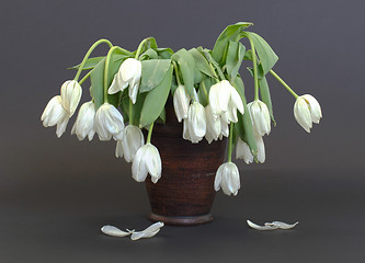 Image showing Vase full of droopy and dead flowers