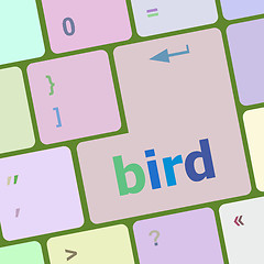 Image showing Button keyboard key, keypad with bird word vector illustration