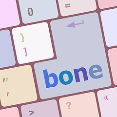 Image showing bone button on computer pc keyboard key vector illustration