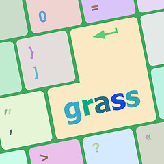 Image showing Computer keyboard button with grass button vector illustration