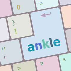 Image showing Keyboard with white enter button, ankle word on it vector illustration