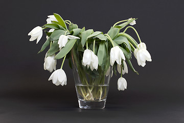 Image showing Vase full of droopy and dead flowers