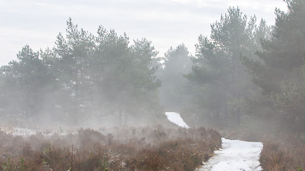 Image showing Foggy dutch landscape with a path