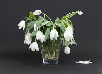 Image showing Vase full of droopy and dead flowers