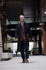 Image showing handsome senior business man walking