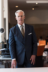 Image showing portrait of handsome senior business man at modern office