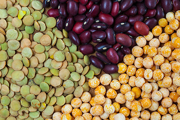 Image showing bean, lentil and pea background