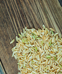 Image showing brown rice seeds