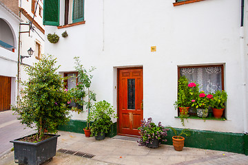 Image showing An outside pots filled with vibrant multicolored flowers