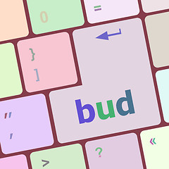 Image showing button with bud word on computer keyboard keys vector illustration