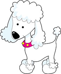 Image showing Poodle