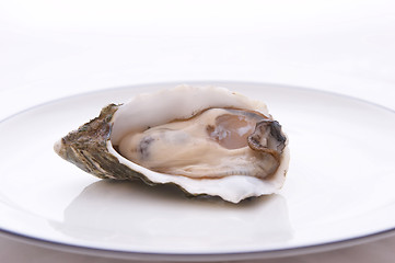 Image showing Oyster On A Plate