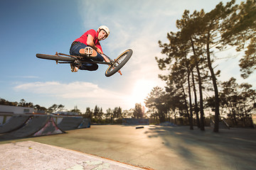 Image showing BMX Bike Stunt Table Top