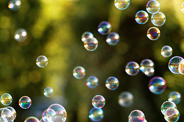 Image showing Soap bubbles