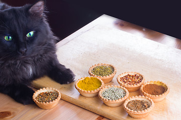 Image showing spices and cat expert in smell and taste