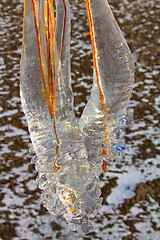 Image showing freezing rain weather in autumn