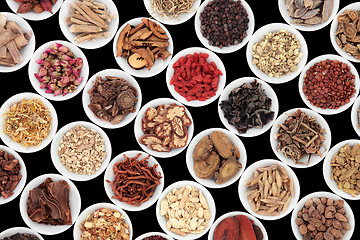 Image showing Chinese Herbs