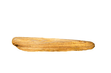 Image showing Smooth piece of driftwood