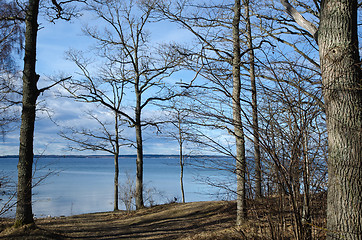 Image showing Sunny spring season view by a calm lake