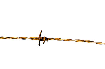 Image showing Barb wire detail isolated on white