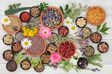 Image showing Medicinal Herbs and Flowers