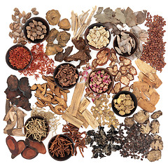 Image showing Chinese Herb Selection